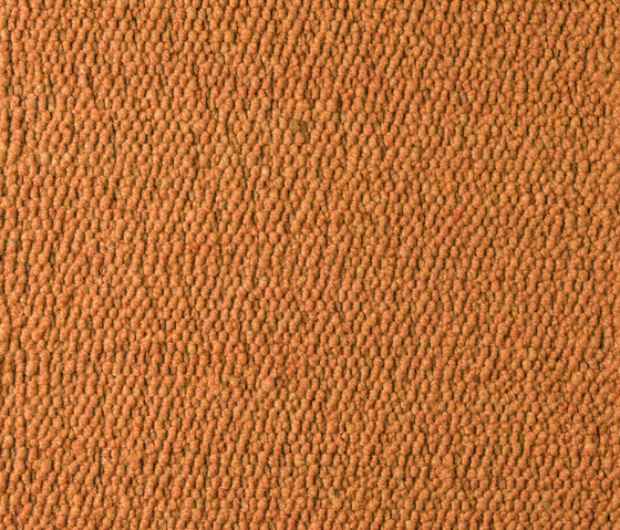 Scrolls 022 | Formatteppiche | Perletta Carpets