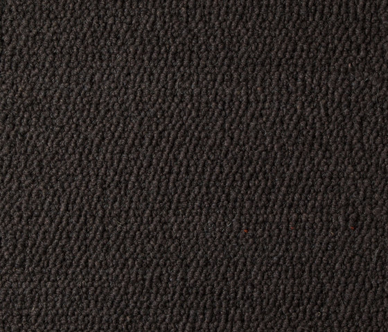 Scrolls 368 | Formatteppiche | Perletta Carpets