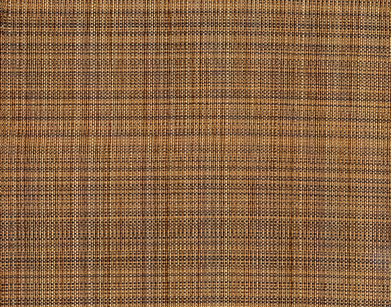 Grass Party 1410 07 Taro Root | Tissus d'ameublement | Anzea Textiles