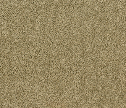 Hermelin 7d79 | Wall-to-wall carpets | Vorwerk