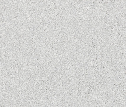 Hermelin 5n35 | Wall-to-wall carpets | Vorwerk
