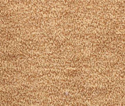 Nutria Melange 2d02 | Wall-to-wall carpets | Vorwerk