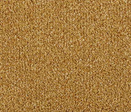 Odina 2d26 | Wall-to-wall carpets | Vorwerk