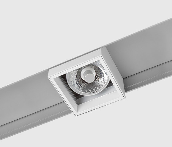 Prologe 145 in-Line/in-Dolma single directional | Pannelli soffitto | Kreon
