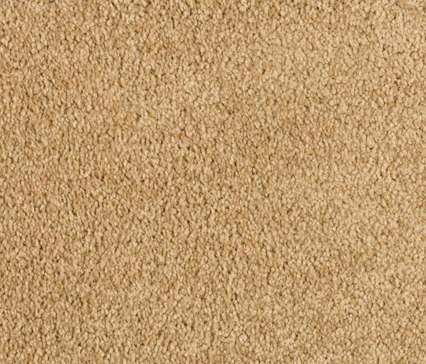 Viola 8f27 | Wall-to-wall carpets | Vorwerk