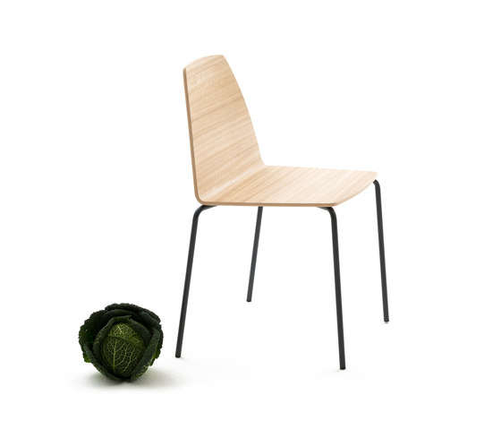 Sila Chair | Chairs | Discipline