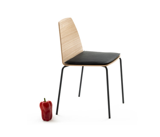Sila Chair | Sedie | Discipline