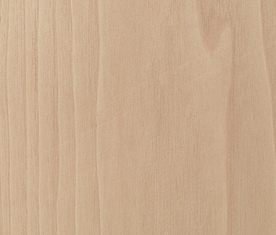 Ghiaccio 51.029 | Wood flooring | Tabu