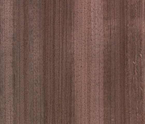 Grafite 03-016 | Wood flooring | Tabu