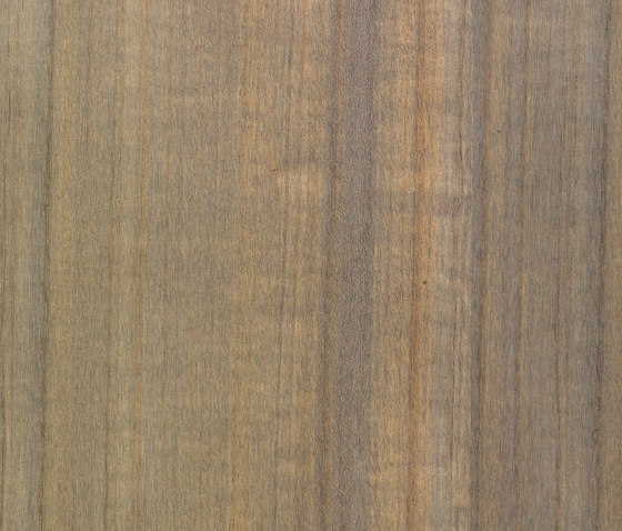Terra 18.001 | Wood flooring | Tabu