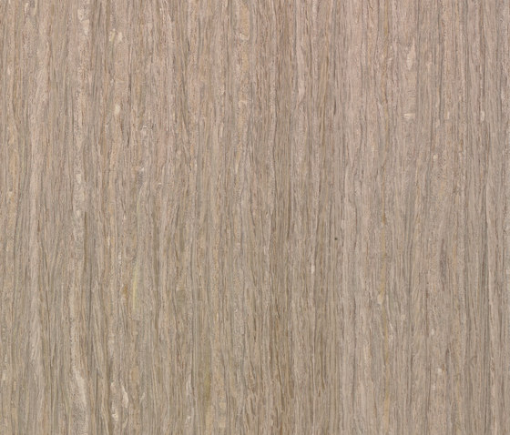 Terra MN.13.497 | Wood flooring | Tabu