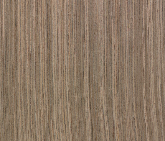 Terra MN.06.033 | Suelos de madera | Tabu