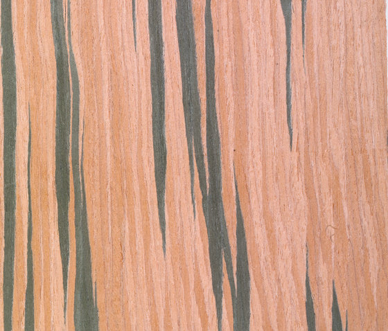 Terra MN.66.001 | Planchers bois | Tabu