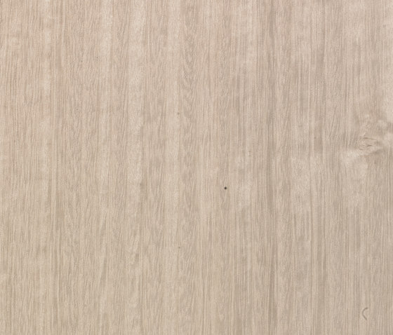 Terra E5.S.119 | Wood flooring | Tabu