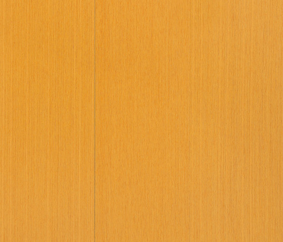 Caleidosystem Z9.084 | Pavimenti legno | Tabu