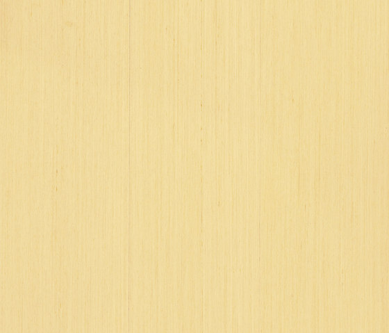 Caleidosystem Z9.824 | Pavimenti legno | Tabu