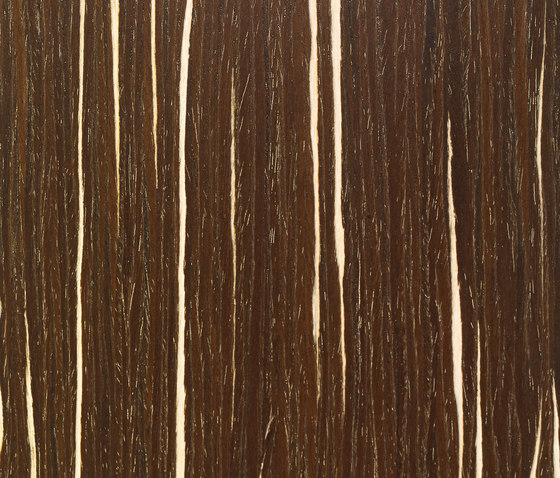 Charta Line CE.004.A | Planchas de madera | Tabu