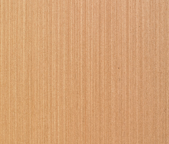 Charta Line CE.005.A | Panneaux de bois | Tabu