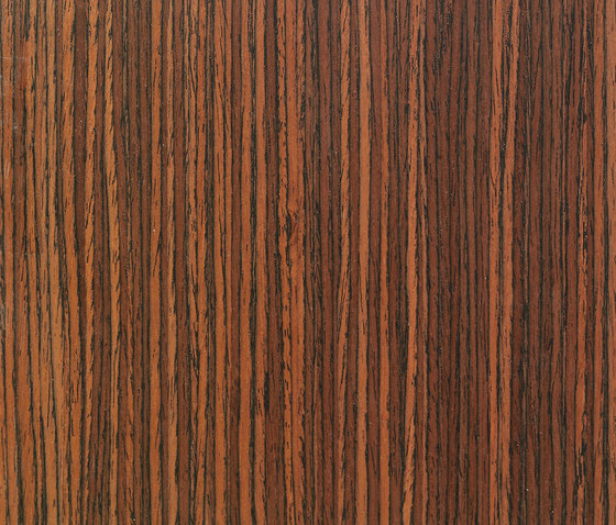Charta Line CE.006.A | Panneaux de bois | Tabu