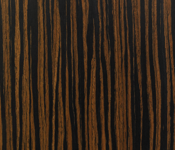 Charta Line CE.007.A | Panneaux de bois | Tabu