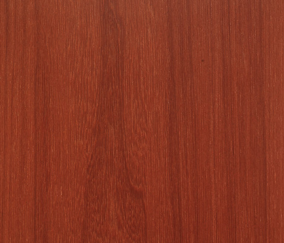 Materia Line FB.011.A | Planchas de madera | Tabu