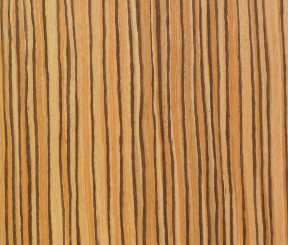 Materia Line FE.013.C | Panneaux de bois | Tabu