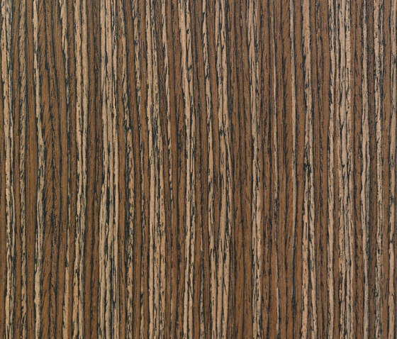 Materia Line FE.024.A | Planchas de madera | Tabu