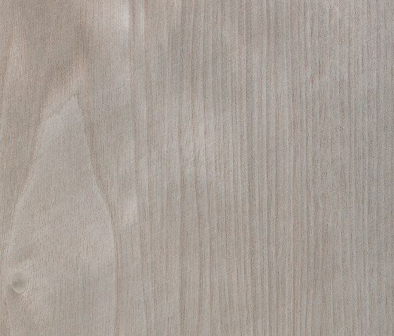 Ghiaccio 51.194 | Wood flooring | Tabu