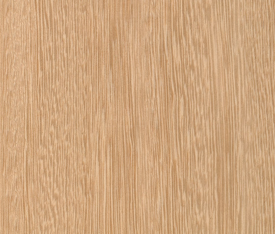 Terra 86.016 | Wood flooring | Tabu