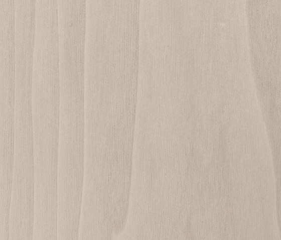 Terra 51.195 | Wood flooring | Tabu