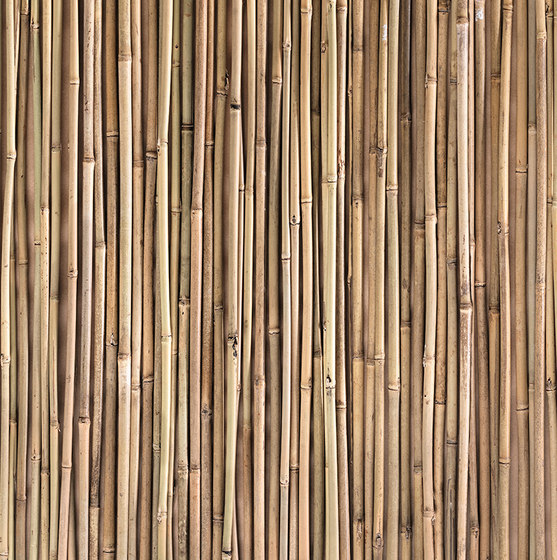 Captured Reality | Natural Bamboo | Bespoke wall coverings | Mr Perswall