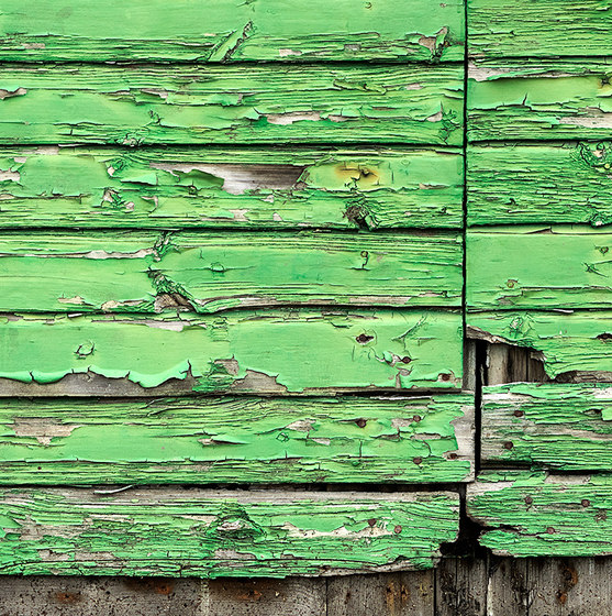 Captured Reality | Green Flake Off Paint | Rivestimenti su misura | Mr Perswall