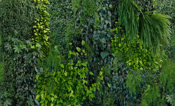 Captured Reality | Green Wall | Bespoke wall coverings | Mr Perswall
