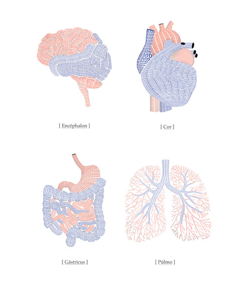 Communication | Organs - Anatomy of the soul | Sur mesure | Mr Perswall