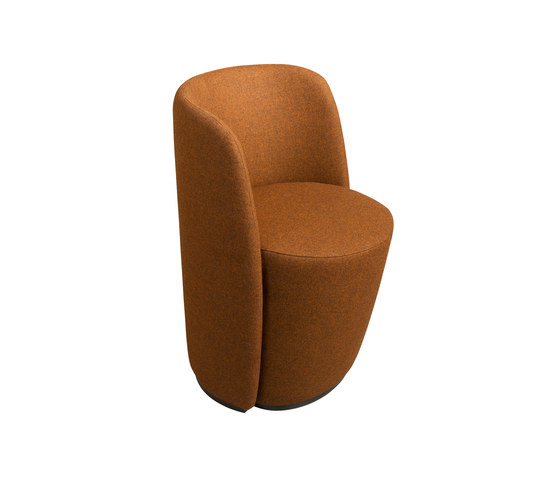 Aril | Chairs | Casala