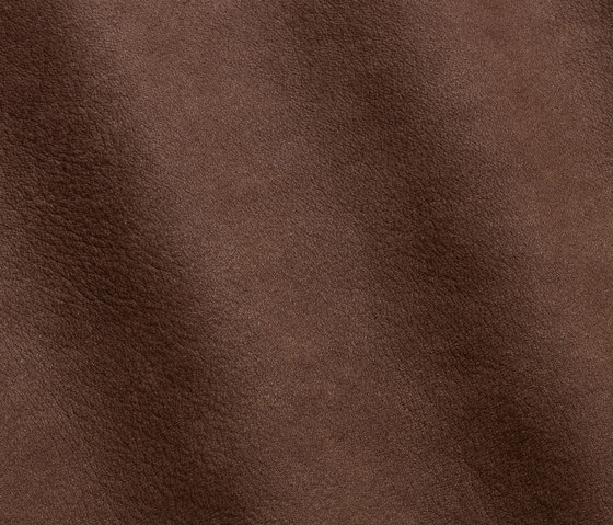 Nubuck 8006 seppia | Natural leather | Gruppo Mastrotto