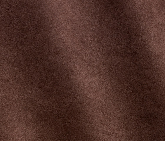 Nubuck 8007 ebano | Natural leather | Gruppo Mastrotto