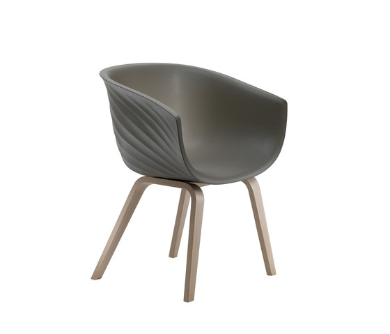 Derby | Wooden base | Chairs | Segis
