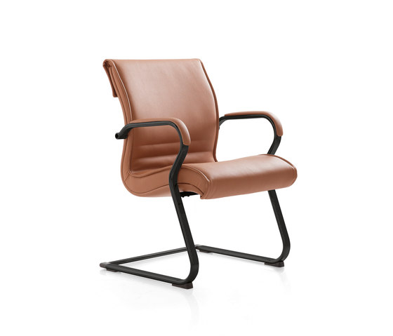 Pulchra | Chairs | Emmegi