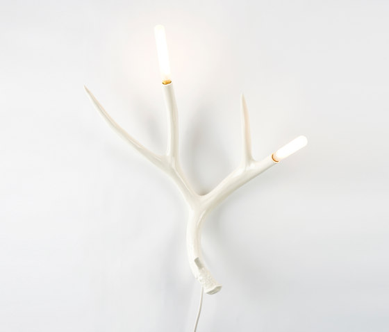 Superordinate Antler Sconce with plug (White) | Appliques murales | Roll & Hill