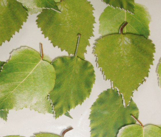 Charisma Glass Birch Leaf | Dekoratives Glas | complexma