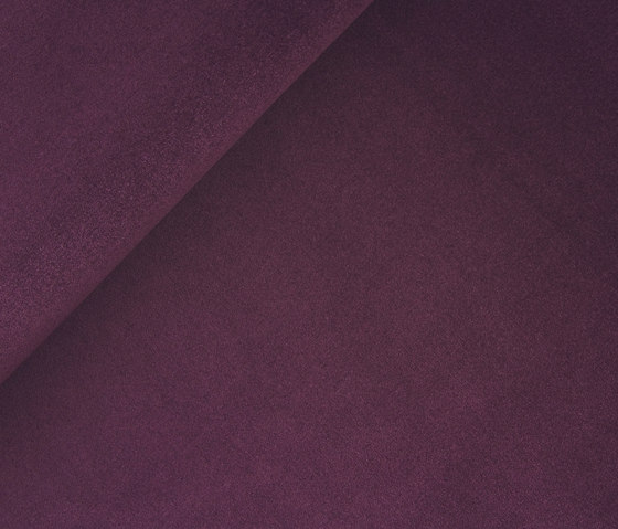 Dante 2462-11 | Upholstery fabrics | SAHCO