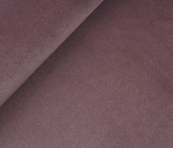 Dante 2462-12 | Upholstery fabrics | SAHCO