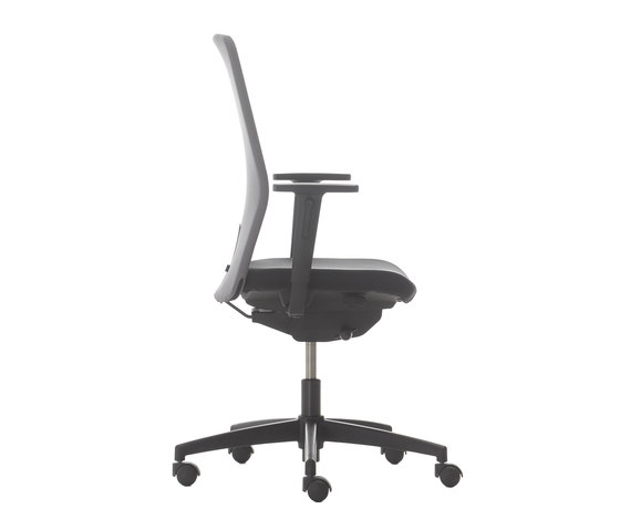 D Chair Pro Support® With Lumbar | Office chairs | Nurus