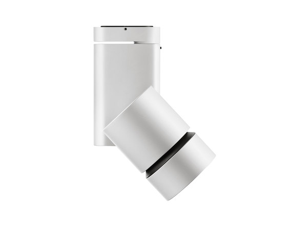 Solid Pure Ceiling/Wall No Dimmable | Deckenleuchten | Flos