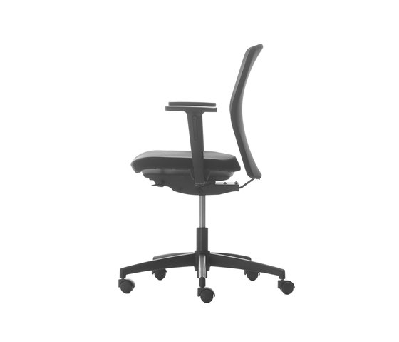 D Chair Dyna Support® Low Back | Sillas de oficina | Nurus