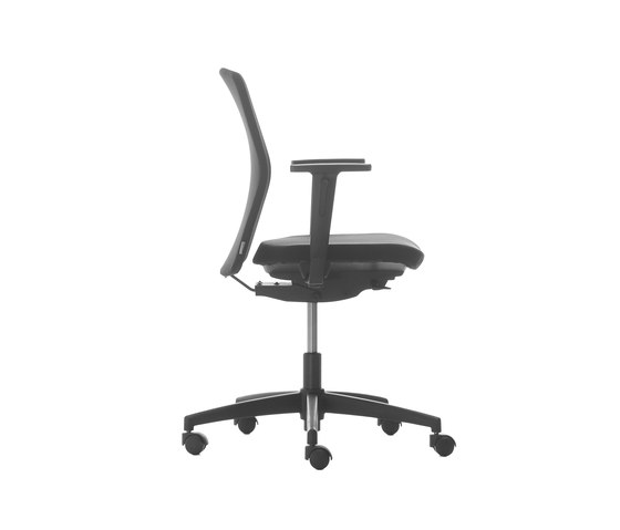 D Chair Dyna Support® Low Back | Office chairs | Nurus
