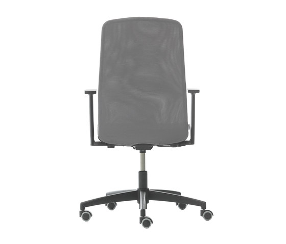 D Chair Fixed High Back | Office chairs | Nurus