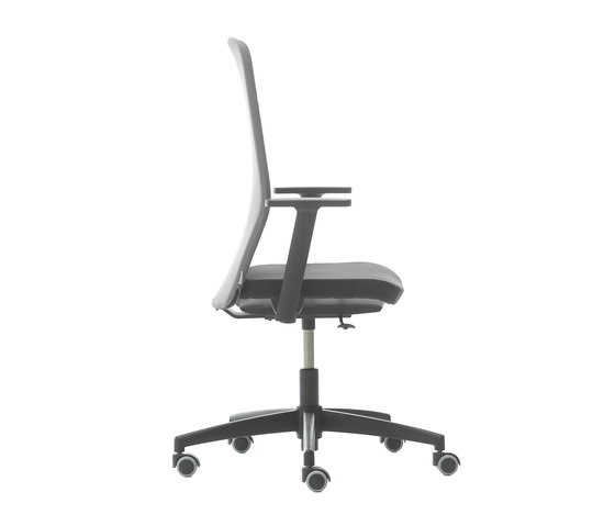 D Chair Fixed High Back | Office chairs | Nurus