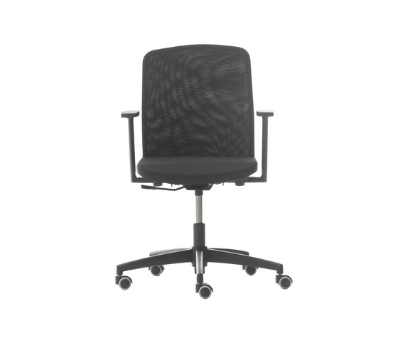 D Chair Fixed Low Back | Chaises de bureau | Nurus